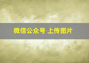 微信公众号 上传图片